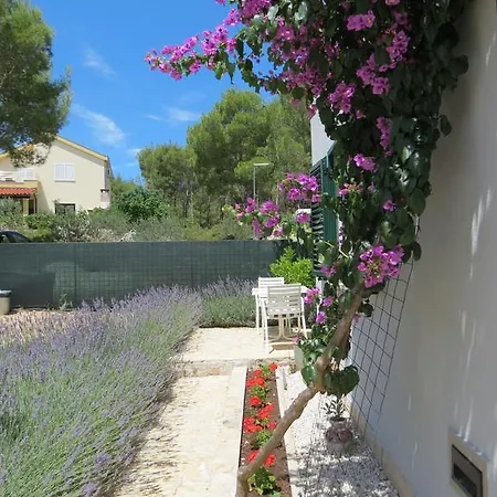 Holiday home Lavanda Holiday *