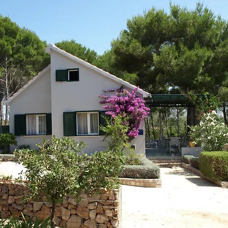 Holiday home Lavanda Holiday Milna (Brac)